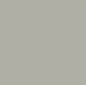 RAPIDCOTE PART A Lt GREY N35 - OSP 10lt